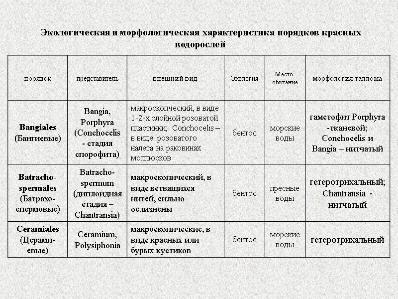 Экологическая и морфологическая характеристика порядков красных водорослей